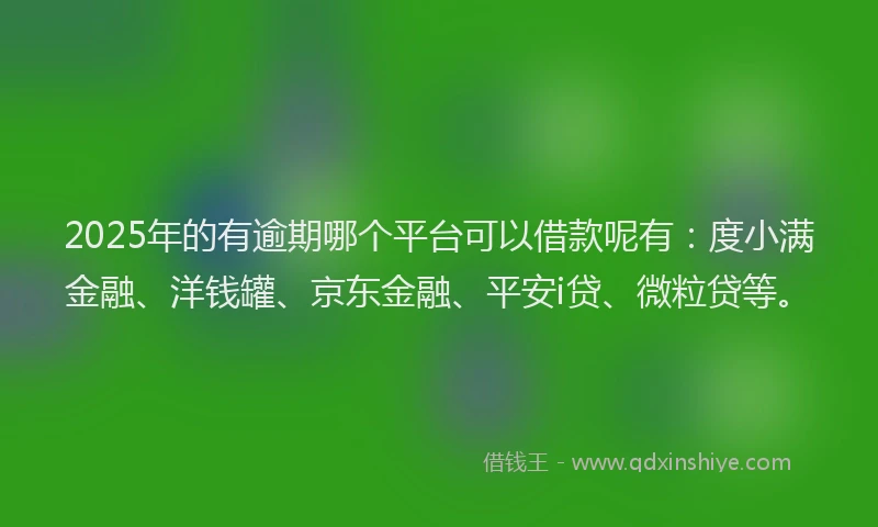 2025年的有逾期哪个平台可以借款呢有：度小满金融、洋钱罐、京东金融、平安i贷、微粒贷等。
