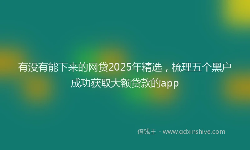 有没有能下来的网贷2025年精选，梳理五个黑户成功获取大额贷款的app