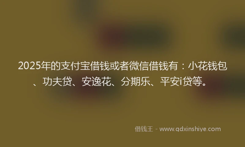 2025年的支付宝借钱或者微信借钱有：小花钱包、功夫贷、安逸花、分期乐、平安i贷等。