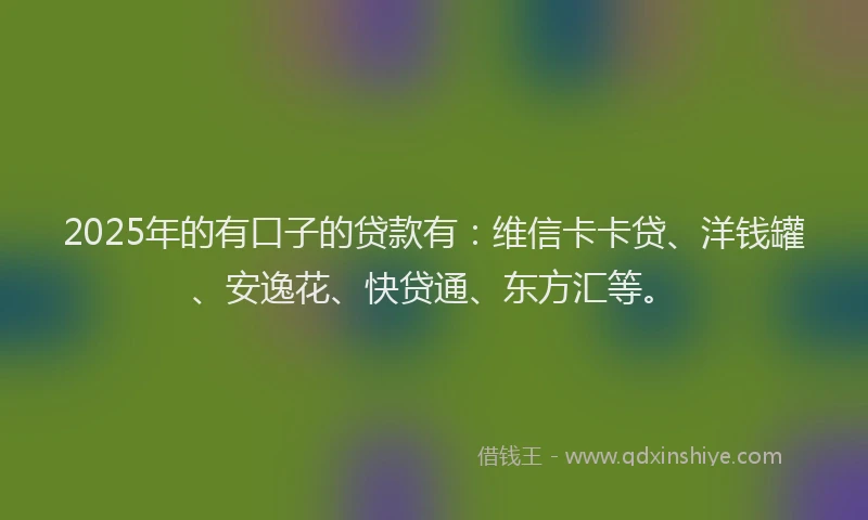 2025年的有口子的贷款有：维信卡卡贷、洋钱罐、安逸花、快贷通、东方汇等。