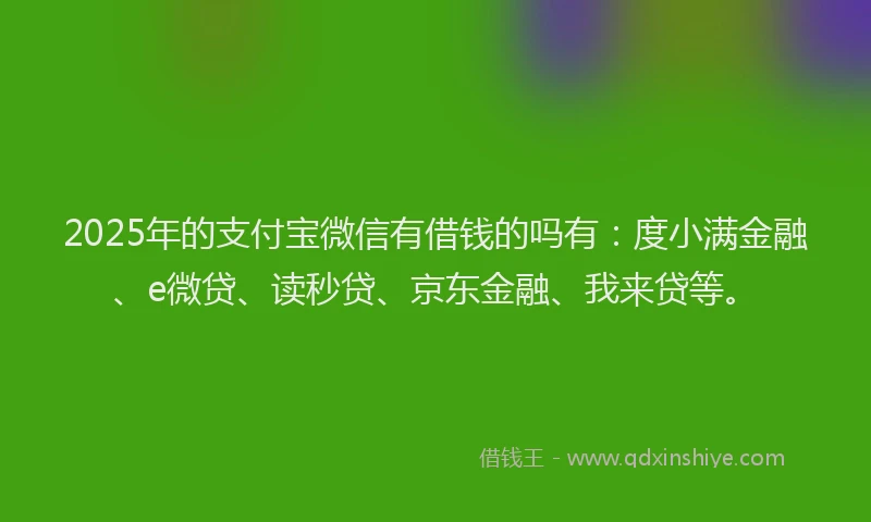 2025年的支付宝微信有借钱的吗有：度小满金融、e微贷、读秒贷、京东金融、我来贷等。