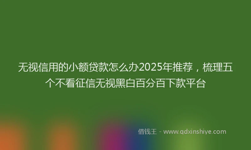 无视信用的小额贷款怎么办2025年推荐，梳理五个不看征信无视黑白百分百下款平台