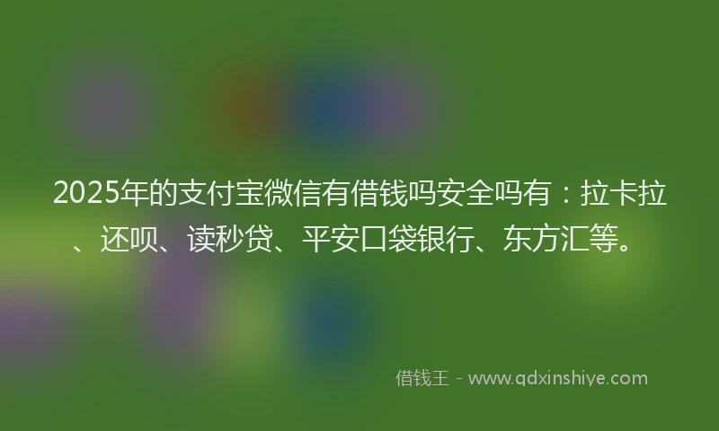 2025年的支付宝微信有借钱吗安全吗有：拉卡拉、还呗、读秒贷、平安口袋银行、东方汇等。