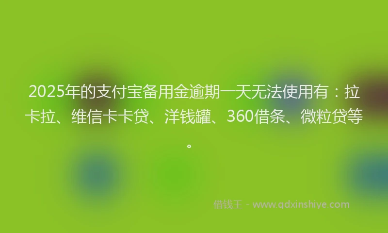 2025年的支付宝备用金逾期一天无法使用有：拉卡拉、维信卡卡贷、洋钱罐、360借条、微粒贷等。
