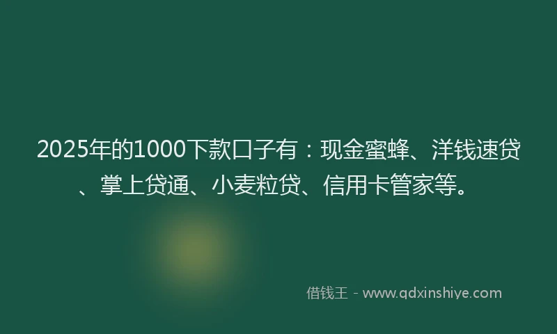 2025年的1000下款口子有：现金蜜蜂、洋钱速贷、掌上贷通、小麦粒贷、信用卡管家等。