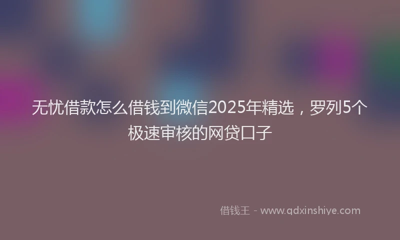 无忧借款怎么借钱到微信2025年精选，罗列5个极速审核的网贷口子