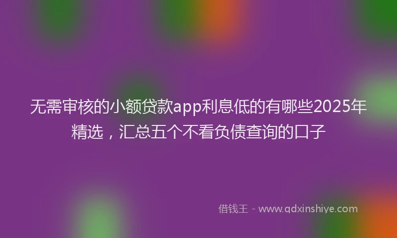 无需审核的小额贷款app利息低的有哪些2025年精选，汇总五个不看负债查询的口子