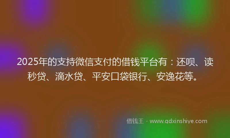 2025年的支持微信支付的借钱平台有：还呗、读秒贷、滴水贷、平安口袋银行、安逸花等。