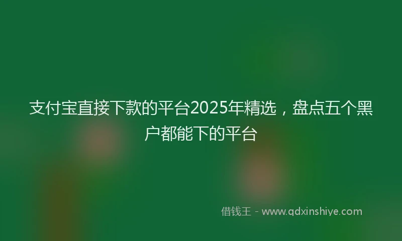 支付宝直接下款的平台2025年精选，盘点五个黑户都能下的平台