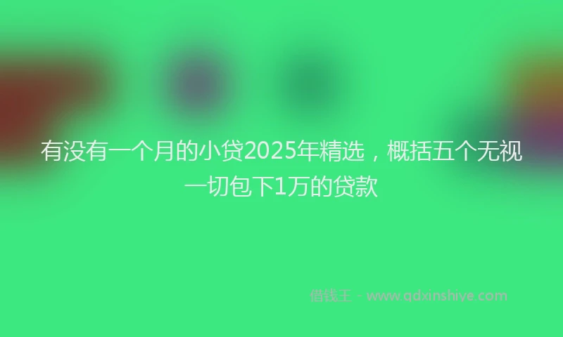 有没有一个月的小贷2025年精选，概括五个无视一切包下1万的贷款