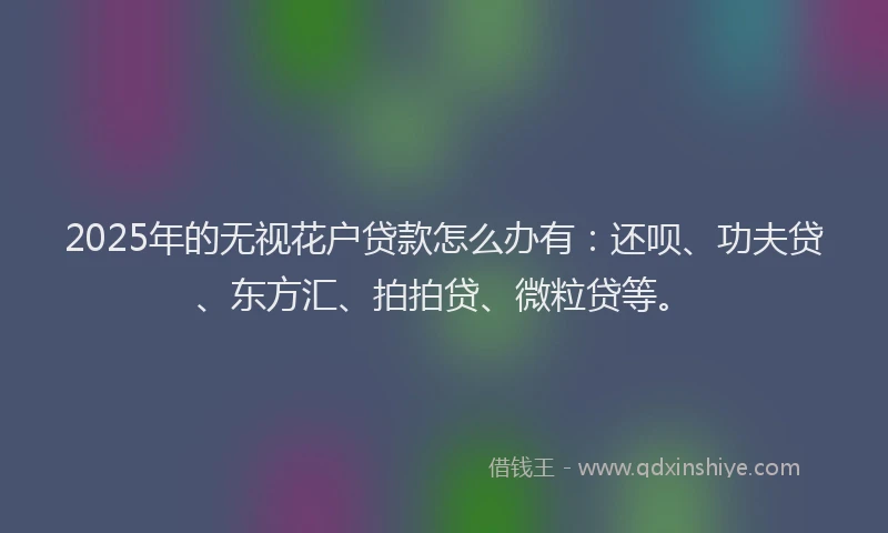 2025年的无视花户贷款怎么办有：还呗、功夫贷、东方汇、拍拍贷、微粒贷等。