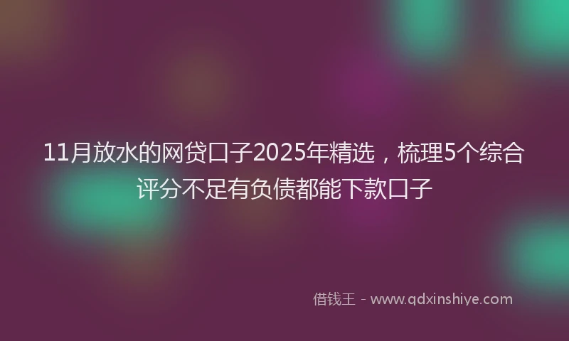 11月放水的网贷口子2025年精选，梳理5个综合评分不足有负债都能下款口子