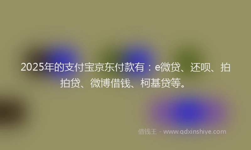 2025年的支付宝京东付款有：e微贷、还呗、拍拍贷、微博借钱、柯基贷等。