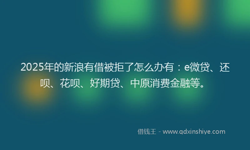 2025年的新浪有借被拒了怎么办有：e微贷、还呗、花呗、好期贷、中原消费金融等。