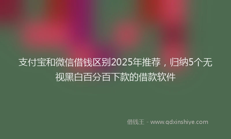 支付宝和微信借钱区别2025年推荐，归纳5个无视黑白百分百下款的借款软件