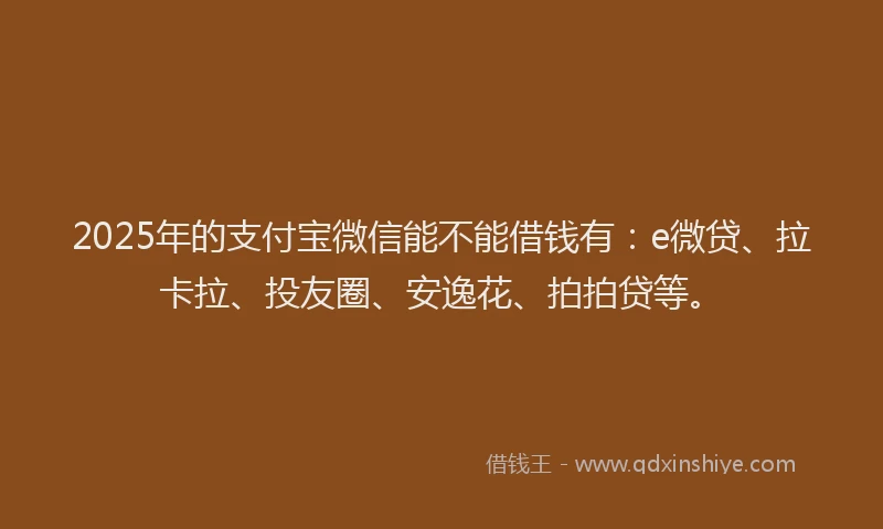 2025年的支付宝微信能不能借钱有：e微贷、拉卡拉、投友圈、安逸花、拍拍贷等。