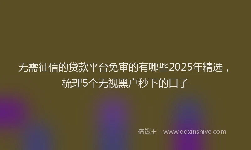 无需征信的贷款平台免审的有哪些2025年精选，梳理5个无视黑户秒下的口子