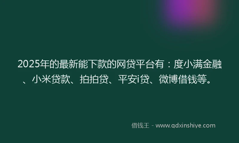 2025年的最新能下款的网贷平台有：度小满金融、小米贷款、拍拍贷、平安i贷、微博借钱等。