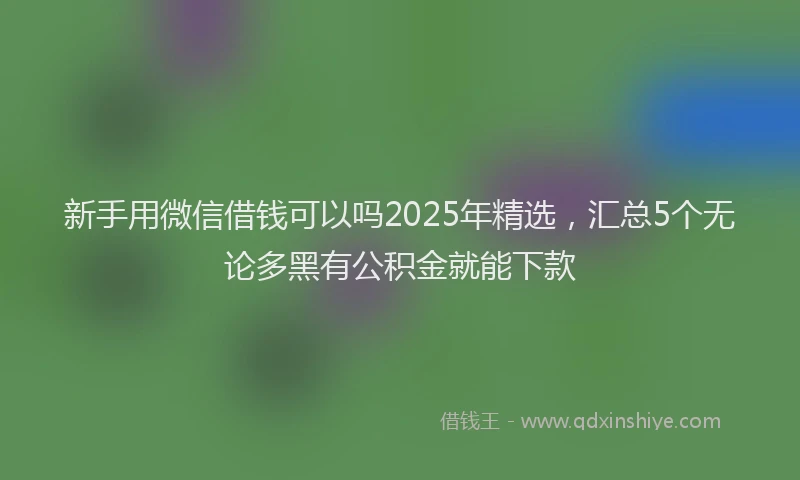 新手用微信借钱可以吗2025年精选，汇总5个无论多黑有公积金就能下款