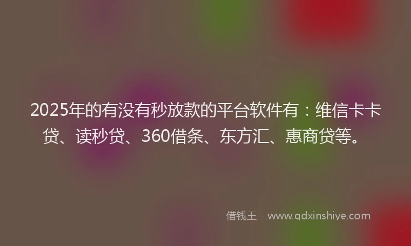 2025年的有没有秒放款的平台软件有：维信卡卡贷、读秒贷、360借条、东方汇、惠商贷等。