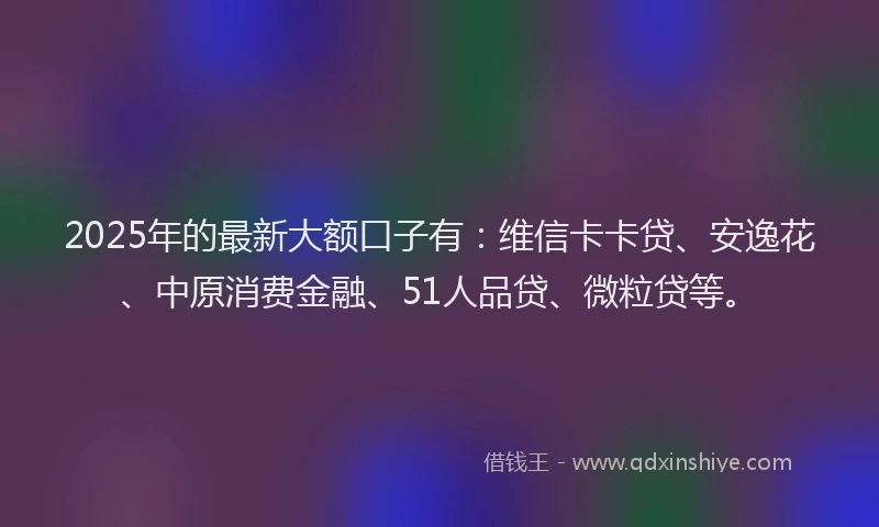 2025年的最新大额口子有：维信卡卡贷、安逸花、中原消费金融、51人品贷、微粒贷等。