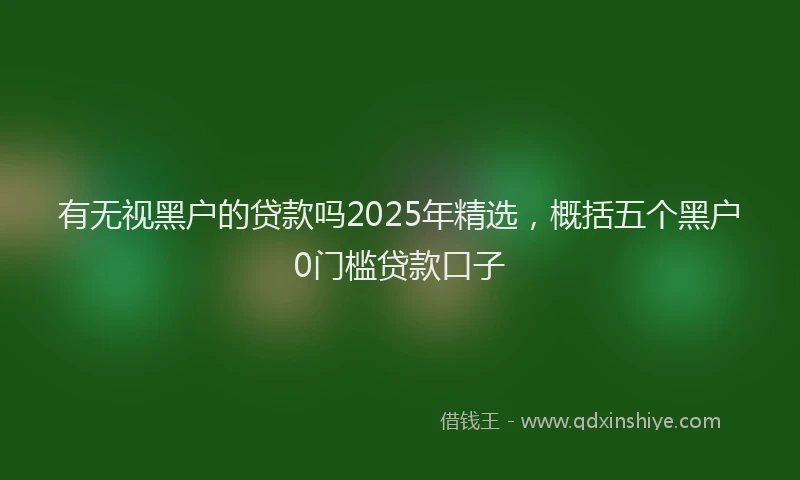 有无视黑户的贷款吗2025年精选，概括五个黑户0门槛贷款口子