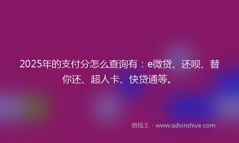 2025年的支付分怎么查询有：e微贷、还呗、替你还、超人卡、快贷通等。