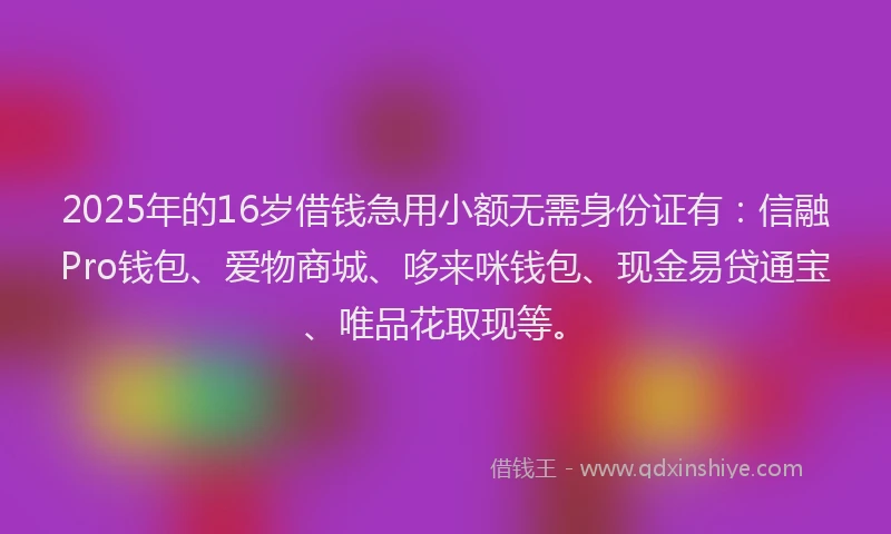 2025年的16岁借钱急用小额无需身份证有：信融Pro钱包、爱物商城、哆来咪钱包、现金易贷通宝、唯品花取现等。