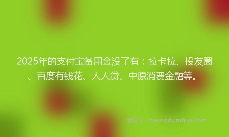 2025年的支付宝备用金没了有：拉卡拉、投友圈、百度有钱花、人人贷、中原消费金融等。