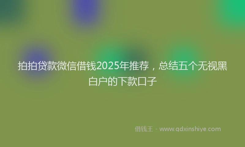 拍拍贷款微信借钱2025年推荐，总结五个无视黑白户的下款口子