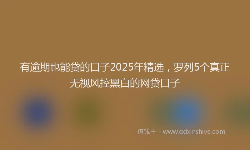 有逾期也能贷的口子2025年精选，罗列5个真正无视风控黑白的网贷口子