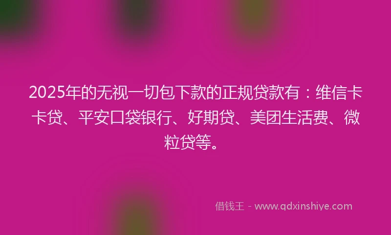 2025年的无视一切包下款的正规贷款有：维信卡卡贷、平安口袋银行、好期贷、美团生活费、微粒贷等。