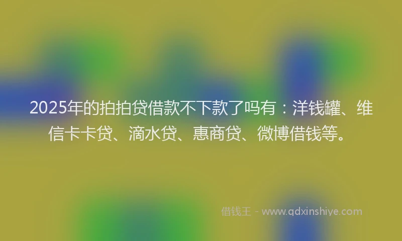 2025年的拍拍贷借款不下款了吗有：洋钱罐、维信卡卡贷、滴水贷、惠商贷、微博借钱等。