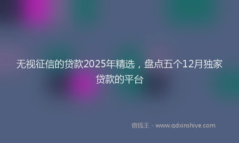 无视征信的贷款2025年精选，盘点五个12月独家贷款的平台