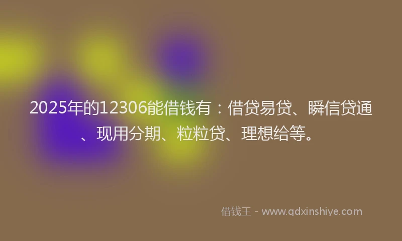 2025年的12306能借钱有：借贷易贷、瞬信贷通、现用分期、粒粒贷、理想给等。