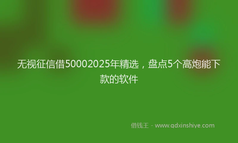 无视征信借50002025年精选，盘点5个高炮能下款的软件