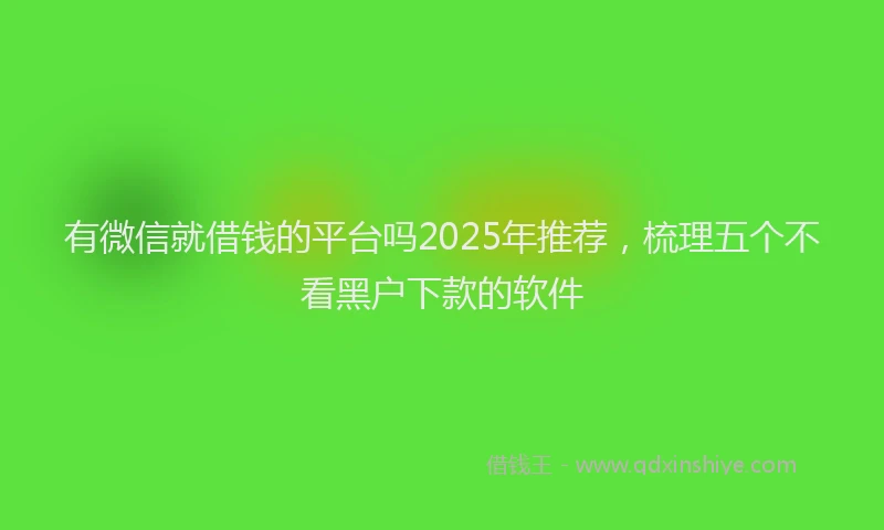 有微信就借钱的平台吗2025年推荐，梳理五个不看黑户下款的软件