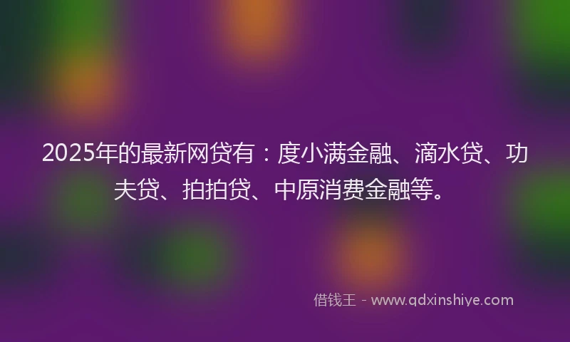 2025年的最新网贷有：度小满金融、滴水贷、功夫贷、拍拍贷、中原消费金融等。