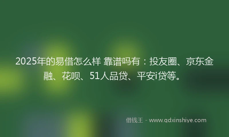 2025年的易借怎么样 靠谱吗有：投友圈、京东金融、花呗、51人品贷、平安i贷等。