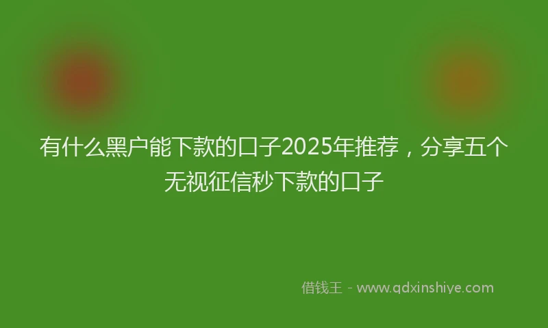 有什么黑户能下款的口子2025年推荐，分享五个无视征信秒下款的口子
