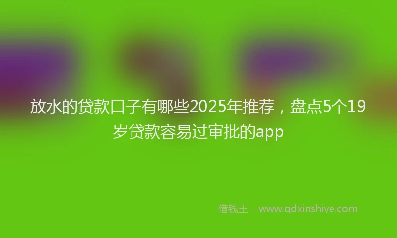 放水的贷款口子有哪些2025年推荐，盘点5个19岁贷款容易过审批的app