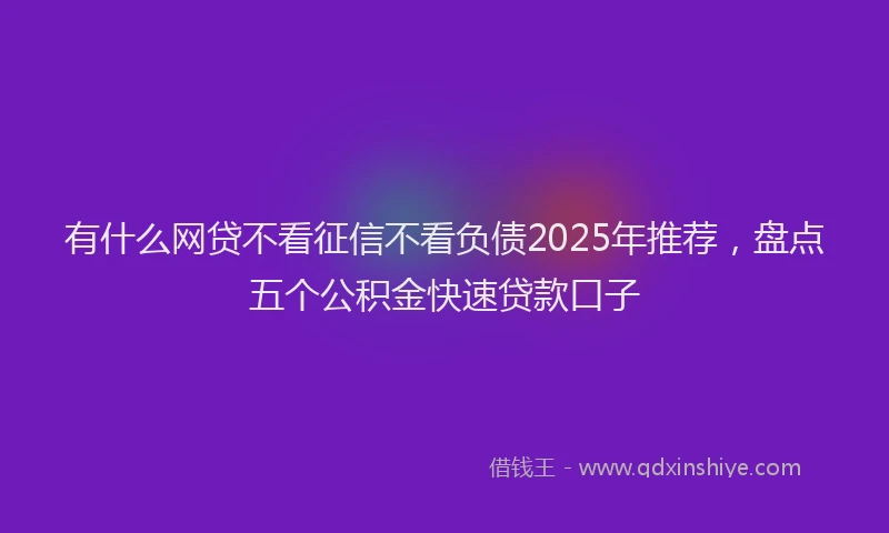 有什么网贷不看征信不看负债2025年推荐，盘点五个公积金快速贷款口子