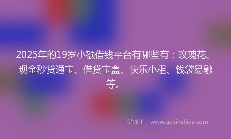 2025年的19岁小额借钱平台有哪些有：玫瑰花、现金秒贷通宝、借贷宝盒、快乐小租、钱袋易融等。