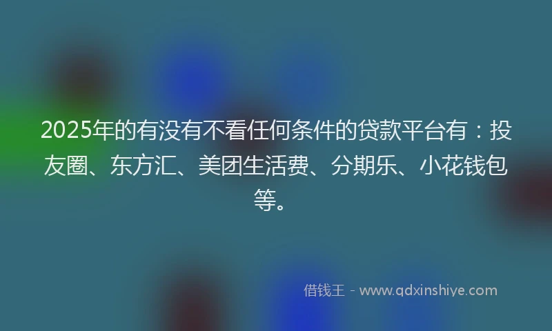 2025年的有没有不看任何条件的贷款平台有：投友圈、东方汇、美团生活费、分期乐、小花钱包等。