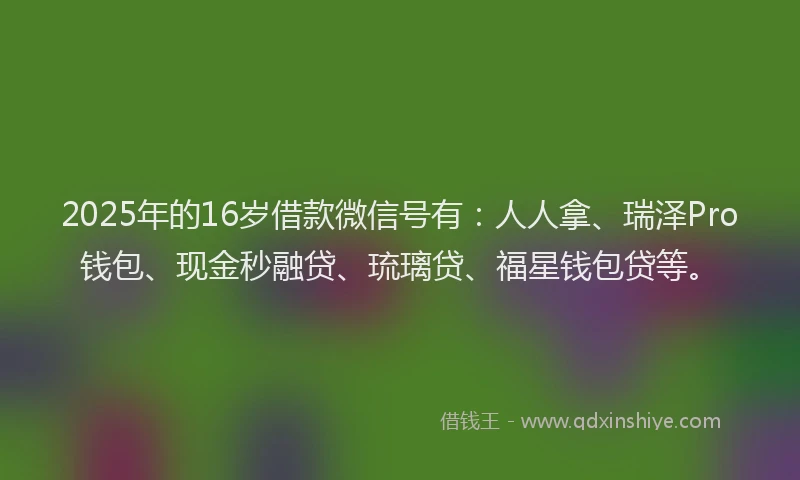 2025年的16岁借款微信号有：人人拿、瑞泽Pro钱包、现金秒融贷、琉璃贷、福星钱包贷等。