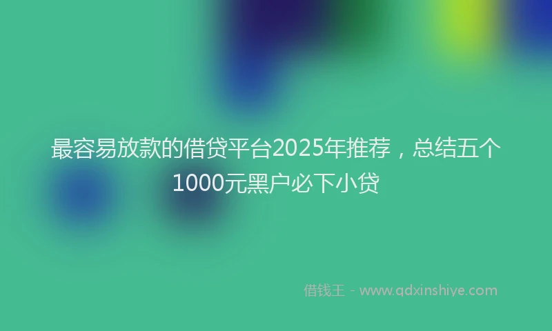 最容易放款的借贷平台2025年推荐，总结五个1000元黑户必下小贷