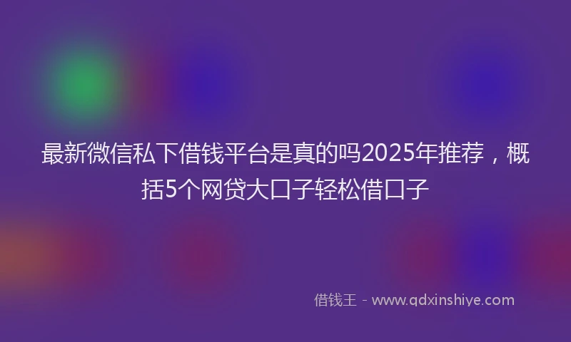 最新微信私下借钱平台是真的吗2025年推荐，概括5个网贷大口子轻松借口子