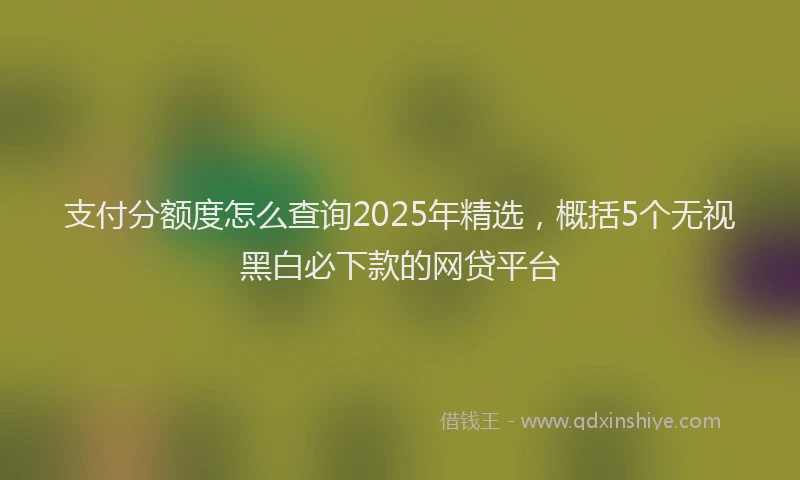支付分额度怎么查询2025年精选，概括5个无视黑白必下款的网贷平台