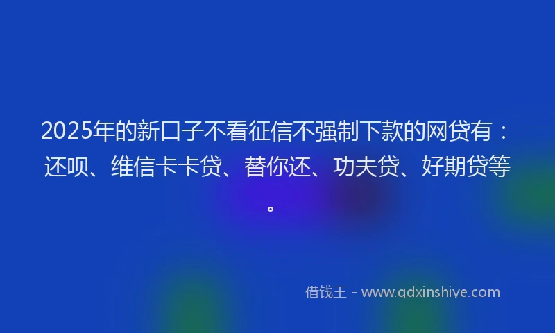2025年的新口子不看征信不强制下款的网贷有：还呗、维信卡卡贷、替你还、功夫贷、好期贷等。