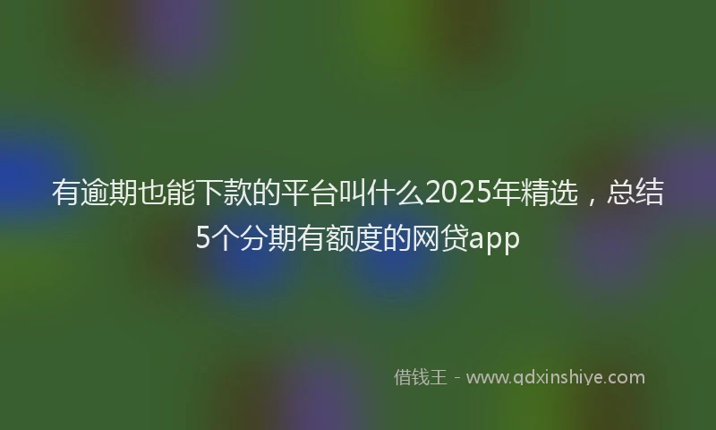 有逾期也能下款的平台叫什么2025年精选，总结5个分期有额度的网贷app